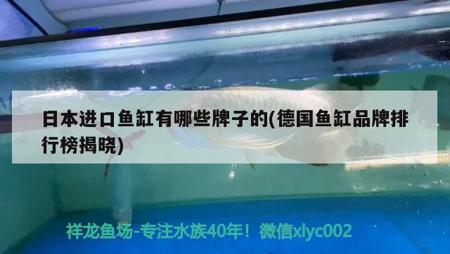 日本进口鱼缸有哪些牌子的(德国鱼缸品牌排行榜揭晓) 广州水族器材滤材批发市场 第2张