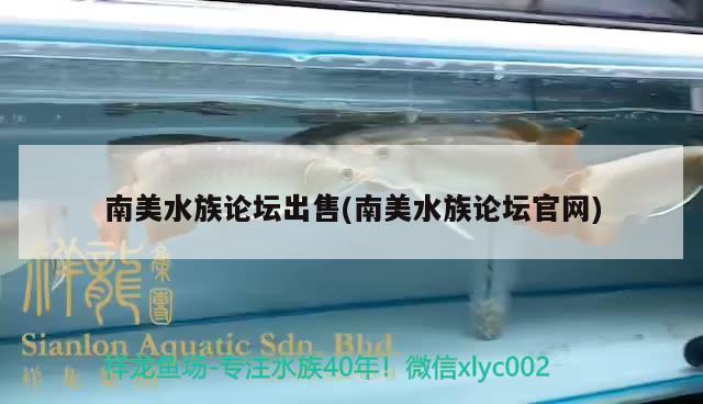 南美水族论坛出售(南美水族论坛官网) 广州祥龙国际水族贸易