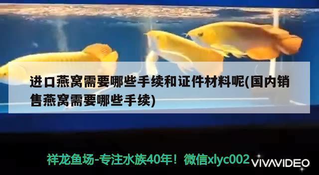 进口燕窝需要哪些手续和证件材料呢(国内销售燕窝需要哪些手续)