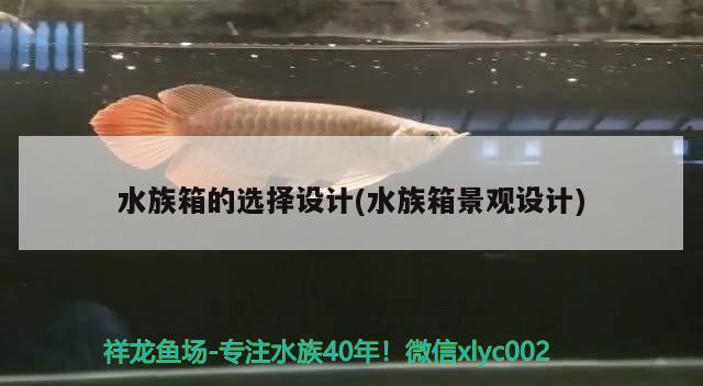 水族箱的选择设计(水族箱景观设计) 广州景观设计