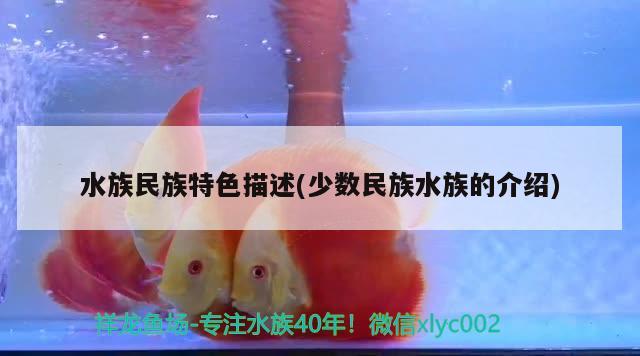 水族民族特色描述(少数民族水族的介绍) 观赏龟/鳖饲料