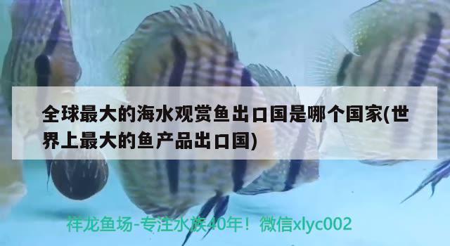 全球最大的海水观赏鱼出口国是哪个国家(世界上最大的鱼产品出口国) 观赏鱼进出口