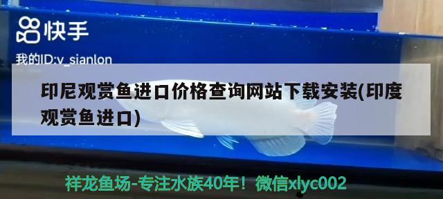 印尼观赏鱼进口价格查询网站下载安装(印度观赏鱼进口) 观赏鱼进出口