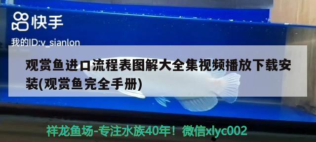 观赏鱼进口流程表图解大全集视频播放下载安装(观赏鱼完全手册)