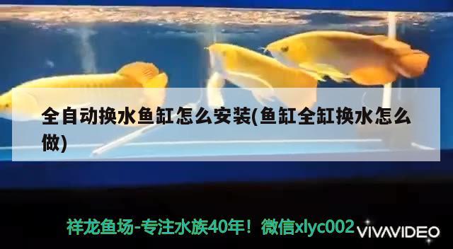 全自动换水鱼缸怎么安装(鱼缸全缸换水怎么做) 祥龙水族滤材/器材