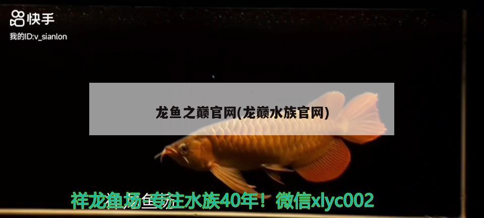 龙鱼之巅官网(龙巅水族官网) 祥龙水族护理水