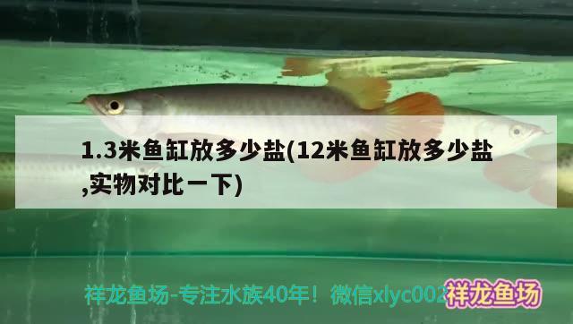 1.3米鱼缸放多少盐(12米鱼缸放多少盐,实物对比一下) 白子银版鱼