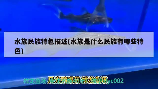 水族民族特色描述(水族是什么民族有哪些特色) 鱼缸百科