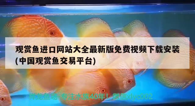 观赏鱼进口网站大全最新版免费视频下载安装(中国观赏鱼交易平台) 观赏鱼进出口