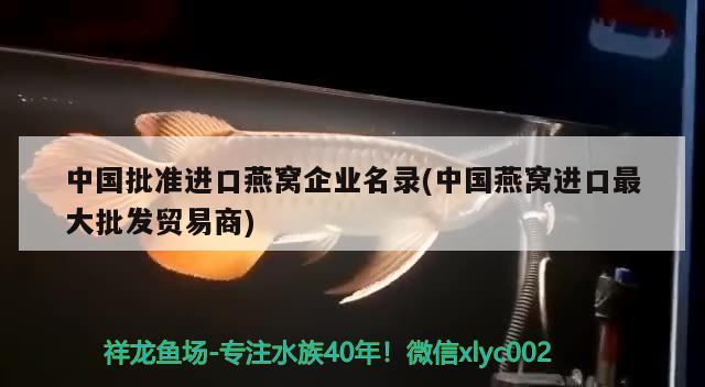 中国批准进口燕窝企业名录(中国燕窝进口最大批发贸易商) 马来西亚燕窝