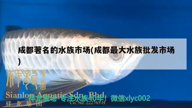 成都著名的水族市场(成都最大水族批发市场)