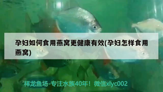 孕妇如何食用燕窝更健康有效(孕妇怎样食用燕窝) 马来西亚燕窝