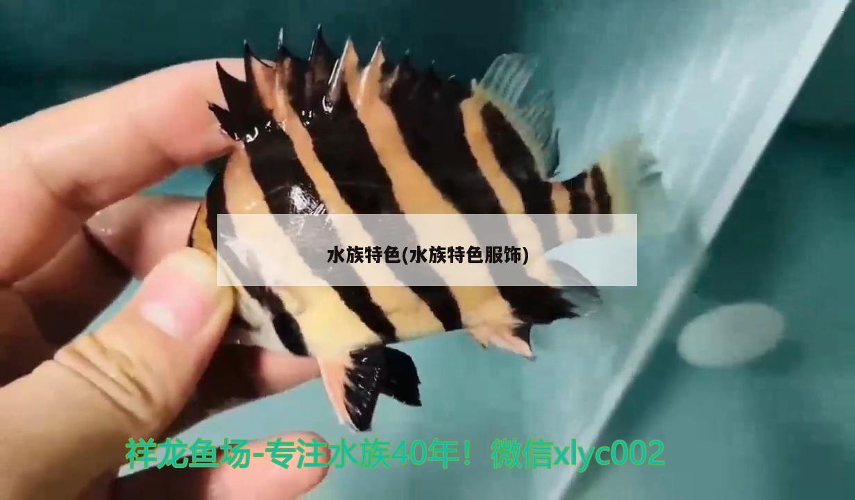 水族特色(水族特色服饰)