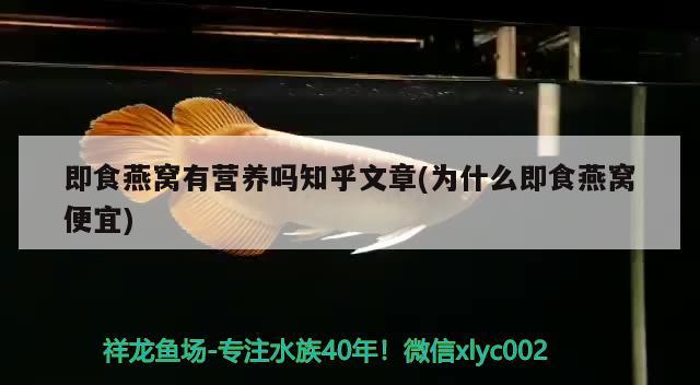 即食燕窝有营养吗知乎文章(为什么即食燕窝便宜) 马来西亚燕窝