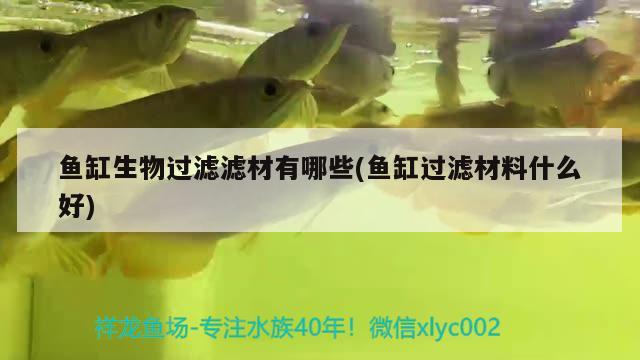 鱼缸生物过滤滤材有哪些(鱼缸过滤材料什么好)