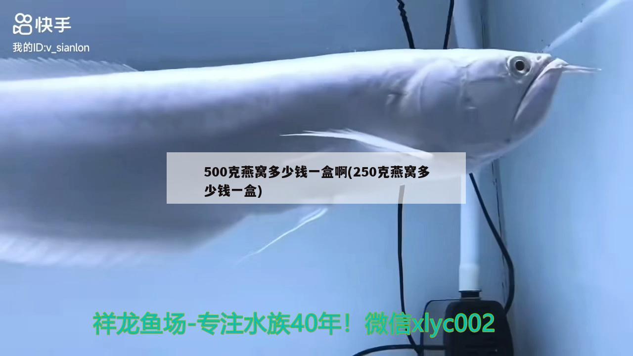 500克燕窝多少钱一盒啊(250克燕窝多少钱一盒)