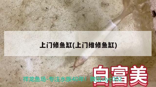 上门修鱼缸(上门维修鱼缸) 图腾金龙鱼