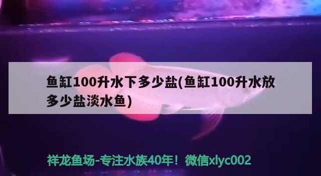 鱼缸100升水下多少盐(鱼缸100升水放多少盐淡水鱼) 非洲金鼓鱼