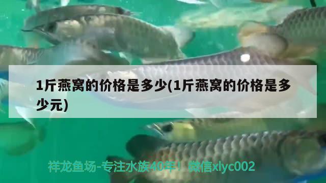 1斤燕窝的价格是多少(1斤燕窝的价格是多少元)