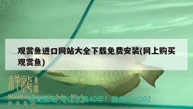 观赏鱼进口网站大全下载免费安装(网上购买观赏鱼) 观赏鱼进出口