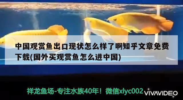 中国观赏鱼出口现状怎么样了啊知乎文章免费下载(国外买观赏鱼怎么进中国) 观赏鱼进出口