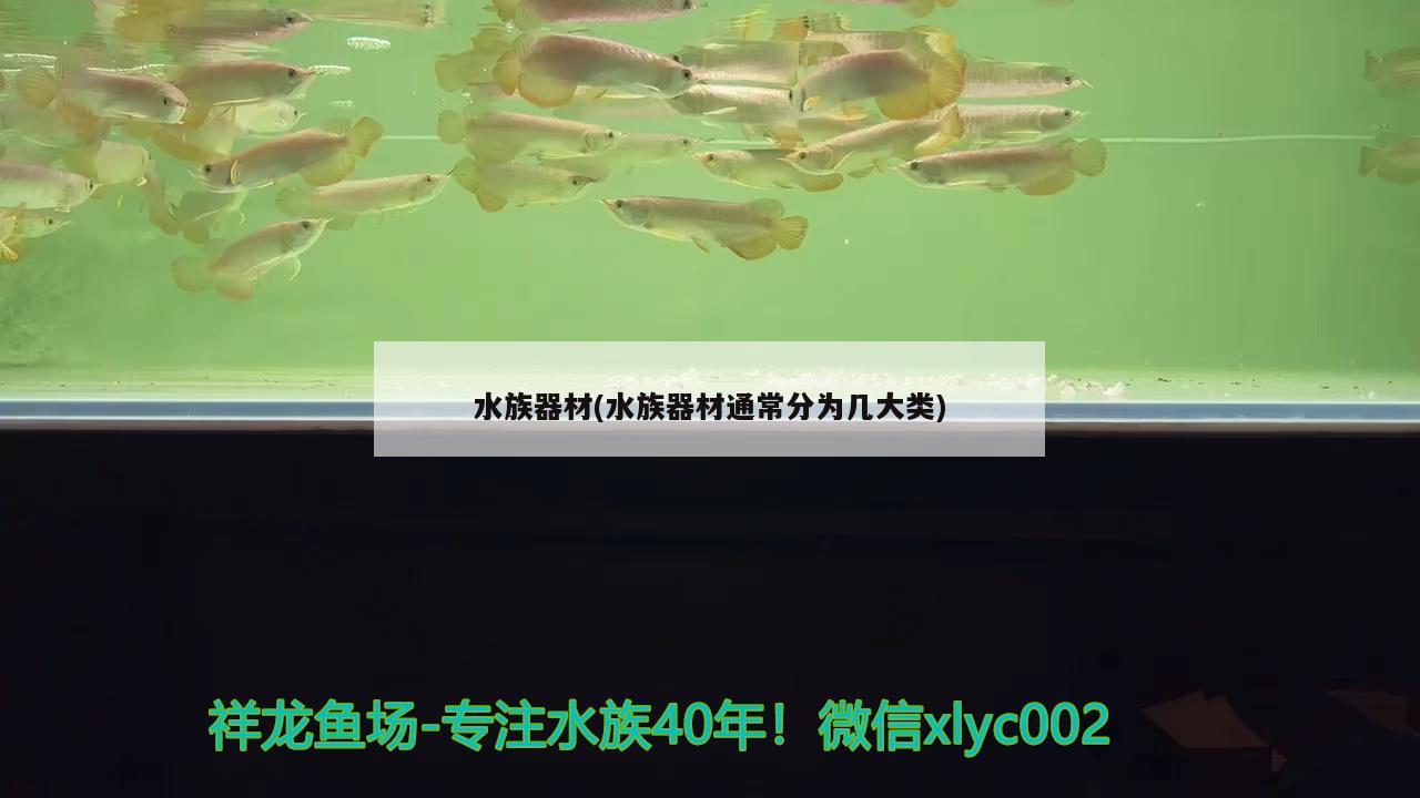 水族器材(水族器材通常分为几大类) 黄吉金龙（白子金龙鱼）