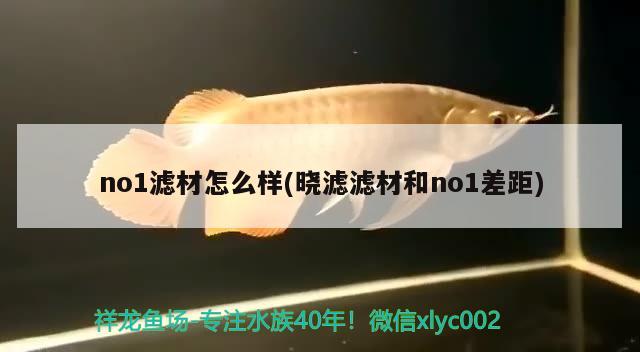 no1滤材怎么样(晓滤滤材和no1差距) 祥龙龙鱼专用水族灯