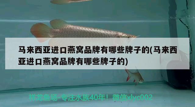 马来西亚进口燕窝品牌有哪些牌子的(马来西亚进口燕窝品牌有哪些牌子的)