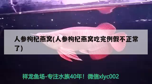 人参枸杞燕窝(人参枸杞燕窝吃完例假不正常了) 马来西亚燕窝