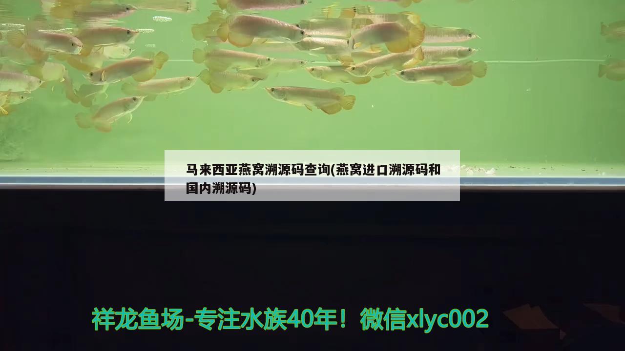 马来西亚燕窝溯源码查询(燕窝进口溯源码和国内溯源码) 马来西亚燕窝