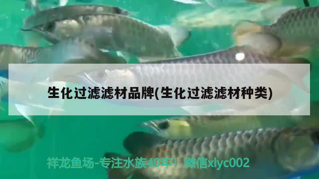 生化过滤滤材品牌(生化过滤滤材种类) 水族杂谈