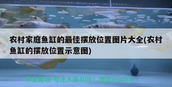 农村家庭鱼缸的最佳摆放位置图片大全(农村鱼缸的摆放位置示意图) 白子金龙鱼