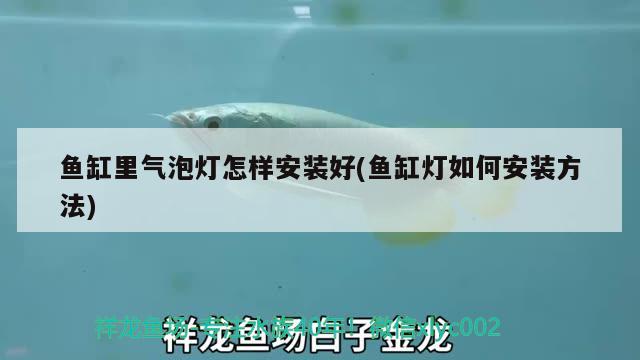 鱼缸里气泡灯怎样安装好(鱼缸灯如何安装方法) 鱼缸百科