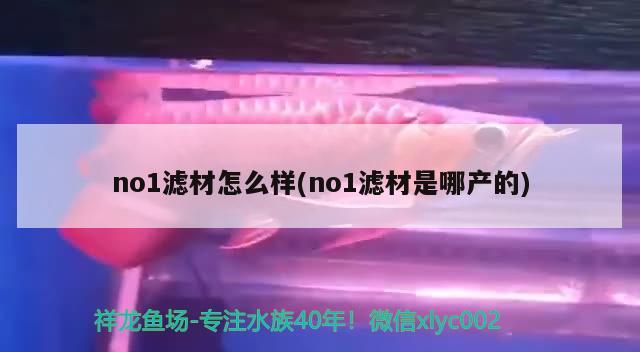 no1滤材怎么样(no1滤材是哪产的) 定时器/自控系统