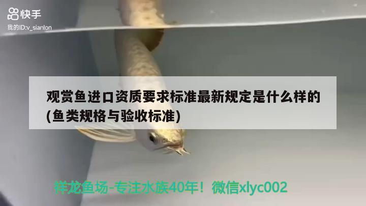 观赏鱼进口资质要求标准最新规定是什么样的(鱼类规格与验收标准)