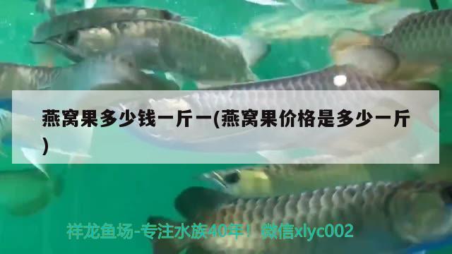 燕窝果多少钱一斤一(燕窝果价格是多少一斤) 马来西亚燕窝