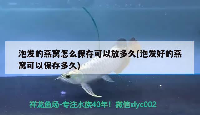 泡发的燕窝怎么保存可以放多久(泡发好的燕窝可以保存多久) 马来西亚燕窝