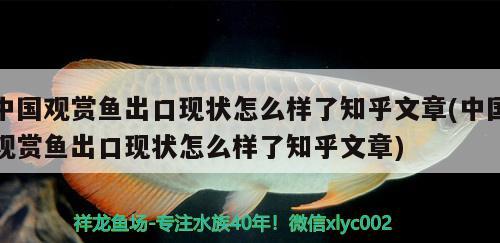 中国观赏鱼出口现状怎么样了知乎文章(中国观赏鱼出口现状怎么样了知乎文章)