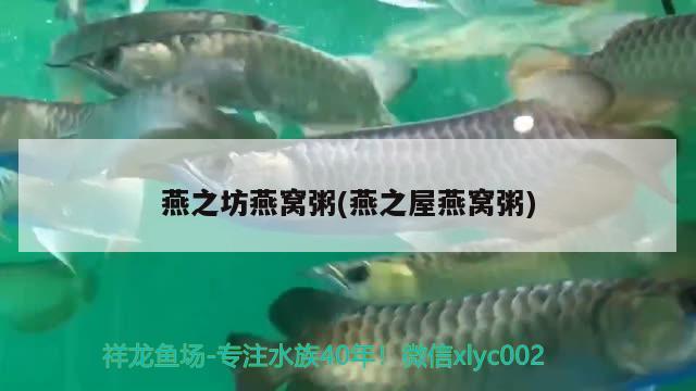 燕之坊燕窝粥(燕之屋燕窝粥) 马来西亚燕窝