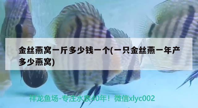 金丝燕窝一斤多少钱一个(一只金丝燕一年产多少燕窝) 马来西亚燕窝