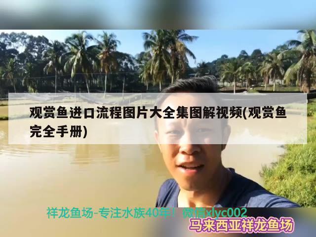 观赏鱼进口流程图片大全集图解视频(观赏鱼完全手册) 观赏鱼进出口