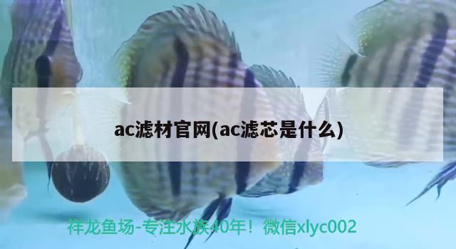 ac滤材官网(ac滤芯是什么)