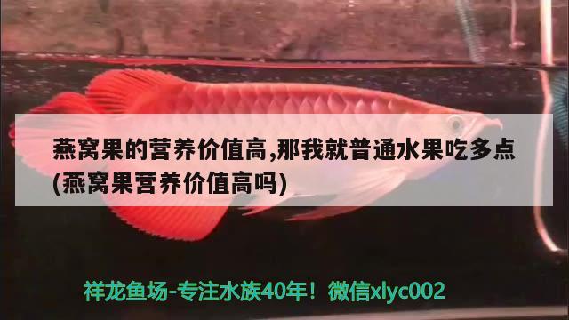 燕窝果的营养价值高,那我就普通水果吃多点(燕窝果营养价值高吗)