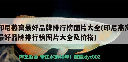 印尼燕窝最好品牌排行榜图片大全(印尼燕窝最好品牌排行榜图片大全及价格)