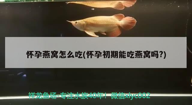 怀孕燕窝怎么吃(怀孕初期能吃燕窝吗?)