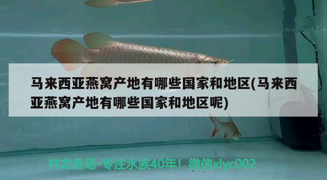 马来西亚燕窝产地有哪些国家和地区(马来西亚燕窝产地有哪些国家和地区呢) 马来西亚燕窝