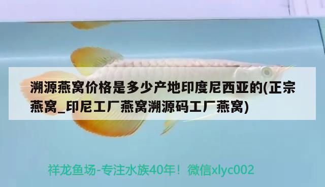 溯源燕窝价格是多少产地印度尼西亚的(正宗燕窝_印尼工厂燕窝溯源码工厂燕窝) 马来西亚燕窝