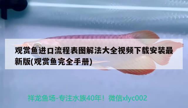 观赏鱼进口流程表图解法大全视频下载安装最新版(观赏鱼完全手册) 观赏鱼进出口