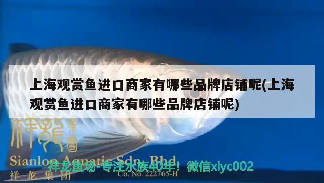 上海观赏鱼进口商家有哪些品牌店铺呢(上海观赏鱼进口商家有哪些品牌店铺呢) 观赏鱼进出口