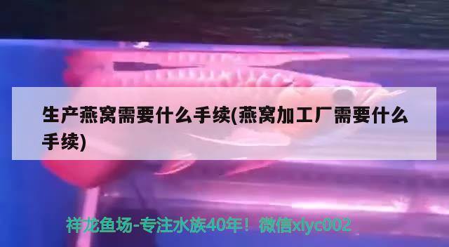 生产燕窝需要什么手续(燕窝加工厂需要什么手续)